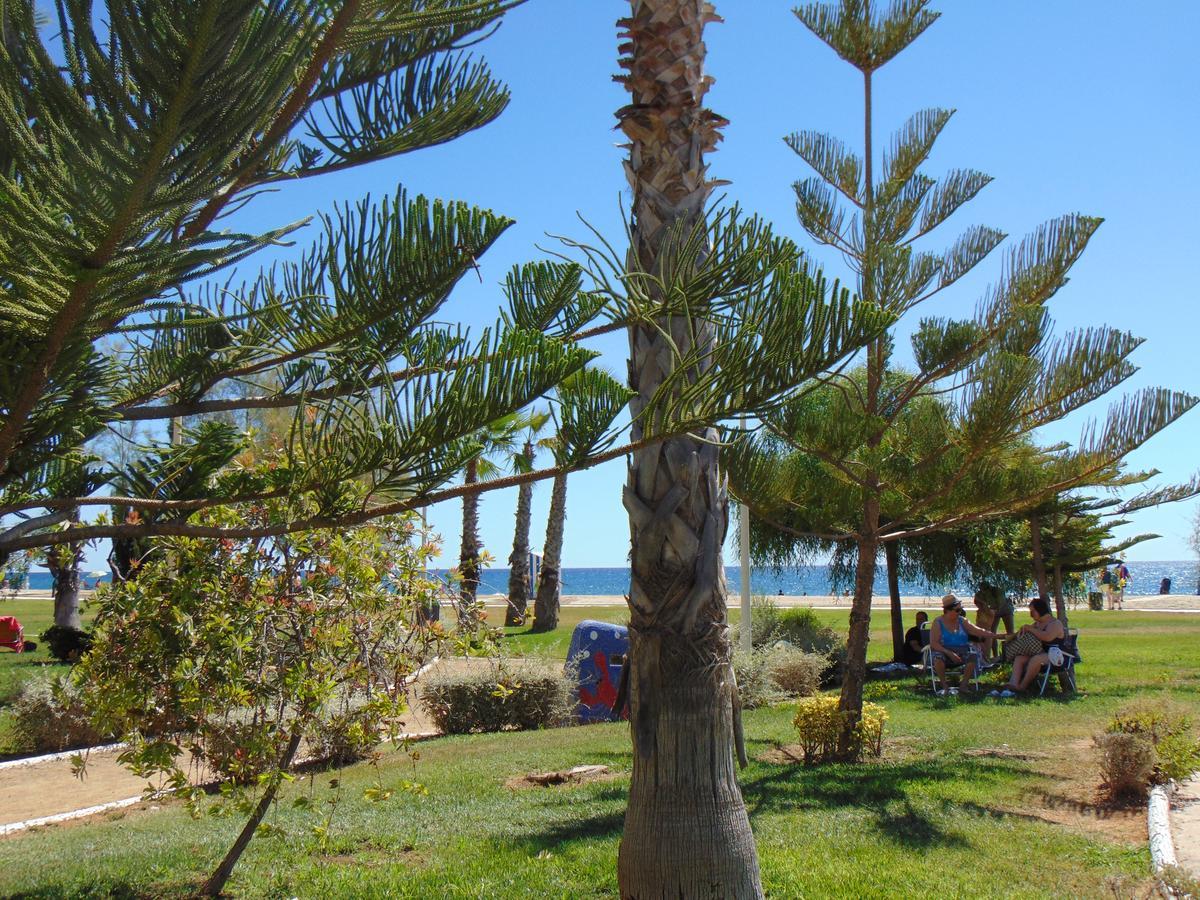 Apartamentos Varios Con 2 Dorm En Marina Dor , La Playa De Amplaries 47 , Vista Lateral Al Mar Oropesa del Mar Exterior foto